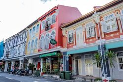 Bukit Pasoh Conservation Area (D2), Shop House #602216401